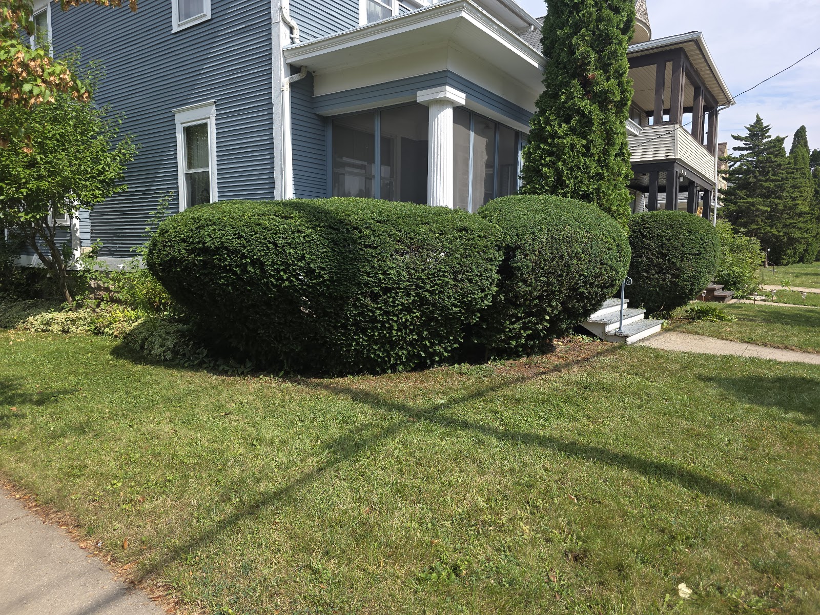Manicured Fox Cities front yard with shaped hedges